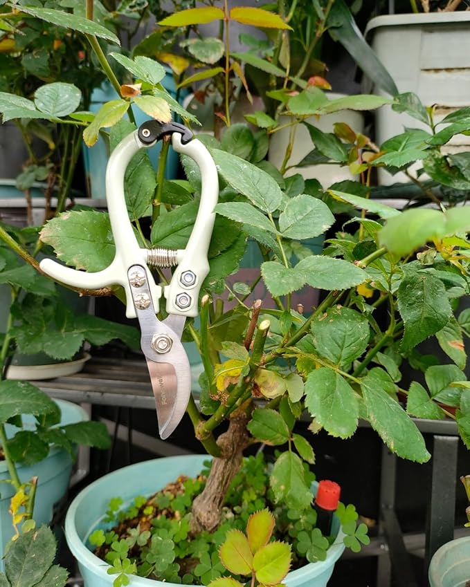 Fondwell 6" Gardening Shears Hand Pruners: Lightweight Garden Trimmers with Bypass Blades - Reliable Bonsai Cutters for Small Plants