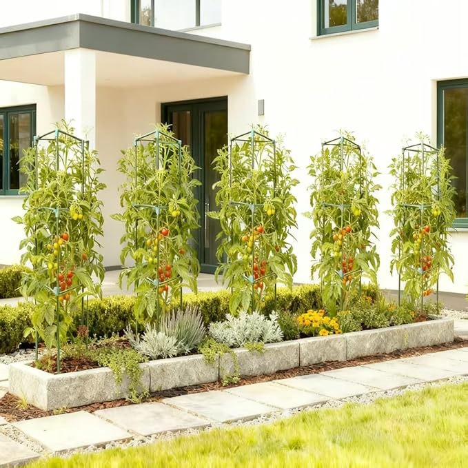Tomato Cages for Garden&Pots, 6 Pack 50" Plant Support Trellis for Tomatoes, Cucumbers, Beans | Heavy-Duty Steel with Rust-Proof Coating | Garden Stakes for Outdoor Indoor Plants