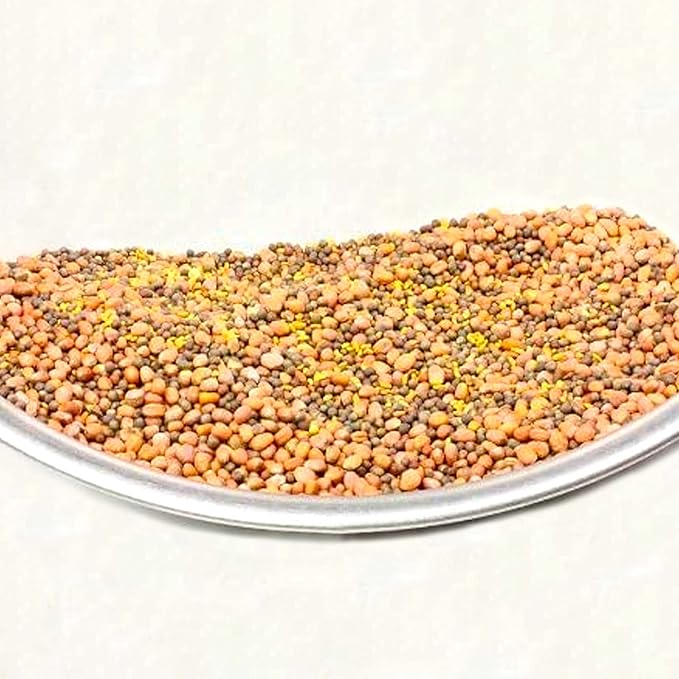 Todd's Seeds Superfood, Beginner's Sprouting Seed Mix for Microgreens, 1 LB, Heirloom, Non-GMO, Purple Kohlrabi, Collards, Radish Seeds, Turnip and Broccoli Seeds Salad Mix (1 Pound)