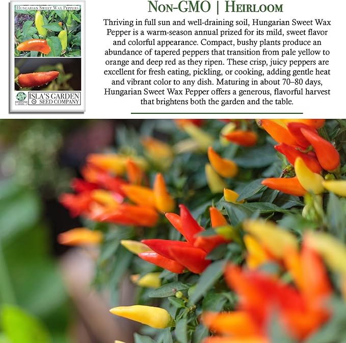 Hungarian Sweet Wax Pepper Seeds (Capsicum annuum) – 100+ Heirloom Non-GMO Seeds by Isla's Garden Seeds, Mild and Flavorful Peppers, Ideal for Fresh Eating, Pickling & Cooking, Great Gardening Gift