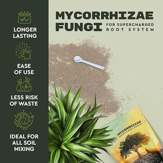 Mycorrhizae Inoculant Powder, 10 oz, 300+ Spores/g Mycorrhizal Fungi, Root Stimulator for Transplanting, Vegetables, Trees & Flowers, Made in USA