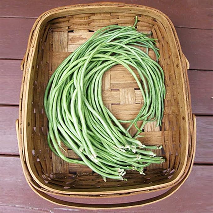 100+ Seeds Snake Oriental Yard Long Asparagus Pole Bean Seeds for Planting Red and Green Noodle Beans Heirloom Non-GMO Delicious Vegetable Seeds(50 Pcs for 2 Pack)