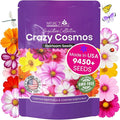 NatureZ Edge, Crazy Cosmos Seeds for 2026, 9450 Cosmos Seed, 2.25 oz, Made in USA, Annual Cut Flowers, Wildflower Seeds Bulk for Planting Flowers, Wild Flowers Seed Throw and Grow, semillas de Flores