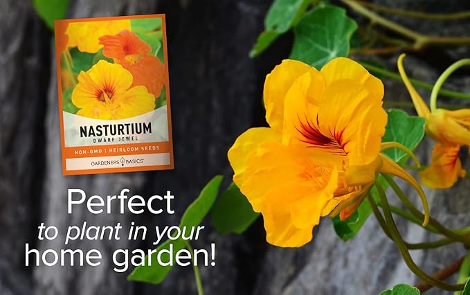 Gardeners Basics, Nasturtium Flower Seeds for Planting (Dwarf Jewel) - Edible Flower Open Pollinated, Non-GMO Annual Flower Seed for Flower Gardens