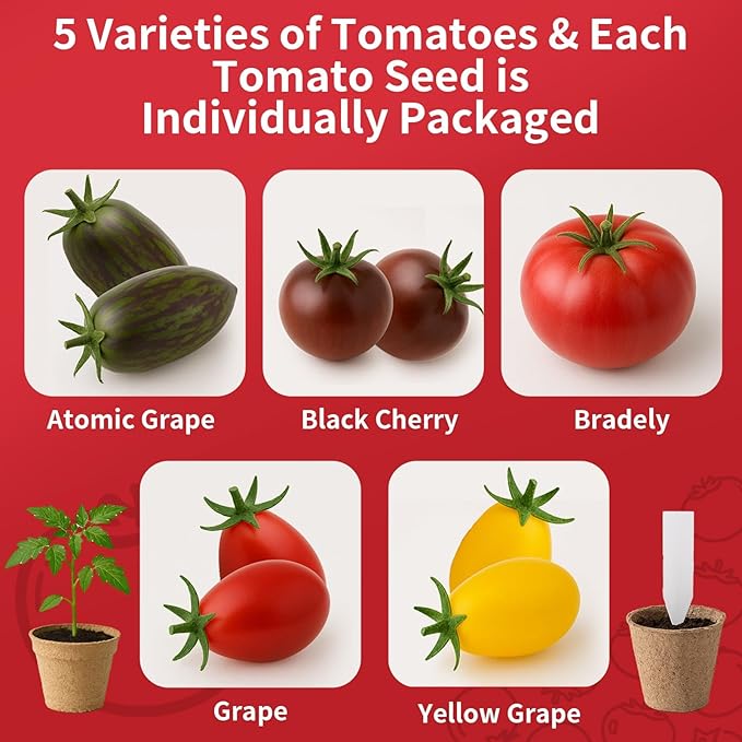 5 Tomato & Tomatillo Garden Seeds Variety Pack - Non-GMO Heirloom Tomato & Tomatillo Seeds with Planting Tools, All-in-One Growing Kit for Christmas Gift & Indoor Home Gardening