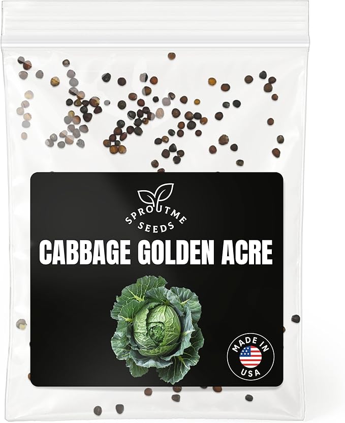 Fall & Winter Cabbage Golden Acre Seeds for Indoor & Outdoor Planting – 300+ Non-GMO Heirloom USA-Grown Early Heads, High Germination (Brassica oleracea VAR. capitata)