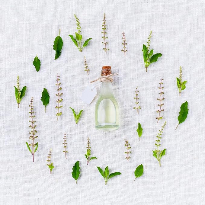 Medicinal Herb and Flower Set - 12 Varieties of Non-GMO & Heirloom Flowers and Herbs - Basil, Cilantro, Calendula, Lavender, Sage, & More!