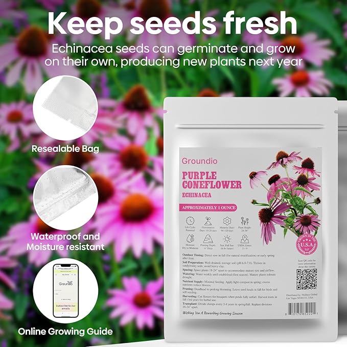 Groundio Purple Coneflower Seeds 1 OZ, Perennial Open Pollinated Non-GMO Echinacea Seeds Grown in The USA, Cone Flower Seed for Planting, USDA 3-9
