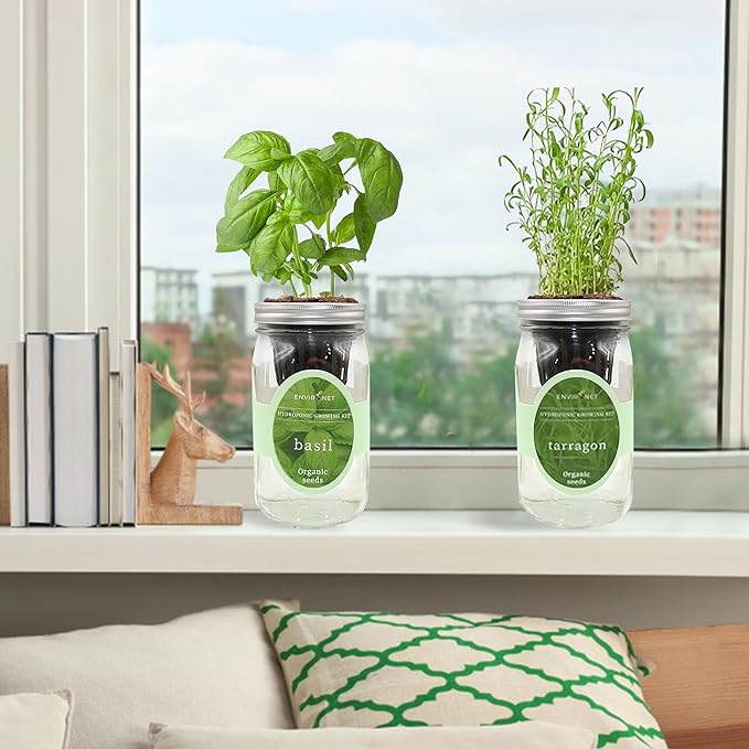 2-Pack Hydroponic Mason Jar Herb Garden Kit, Indoor Herb Garden Self-Watering Starter Kit (Basil,Tarragon)