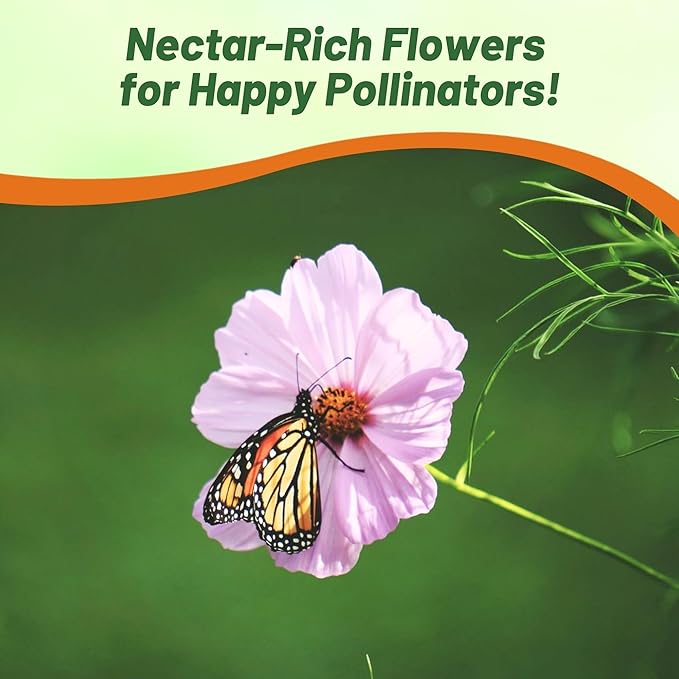 Outsidepride Day Dream Cosmos Bipinnatus Seeds - 1000 Pcs Annual, Easy to Grow & Drought Tolerant, Flower Seeds for Planting w/Fern-Like Foliage & Pink Blooms, Ideal for Borders & Wildflower Meadows