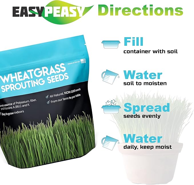 Wheatgrass Seeds | Non GMO | Grown in USA Wheat Grass Seeds | from Our Farm to Your Table (2 Pound)
