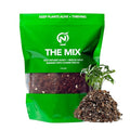 Noot Potting Soil Mix for Indoor & House Plants – 1 Gallon – Orchid, Succulent, Cactus, Aroid, Houseplant, Monstera – Bio-Organic – Fast Draining – Rapid Root Growth – Pre-Soaked & Ready to Use