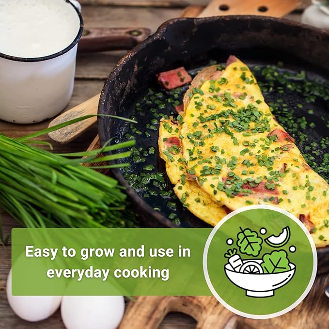 Sow Right Seeds - Common Chives Seed for Planting - Non-GMO Heirloom Packet with Instructions to Plant and Grow Kitchen Herb Garden Indoor or Outdoor - Mild Onion Flavor (4)