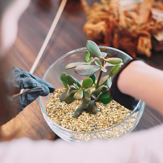 Coarse Sand Stone - Silica Sand for Plants, Soil Cover Succulents and Cactus Bonsai DIY Horticultural Sand, Decorative Sand for Vases Fillers,Terrarium, Fairy Garden,Natural Sand Top Dressing
