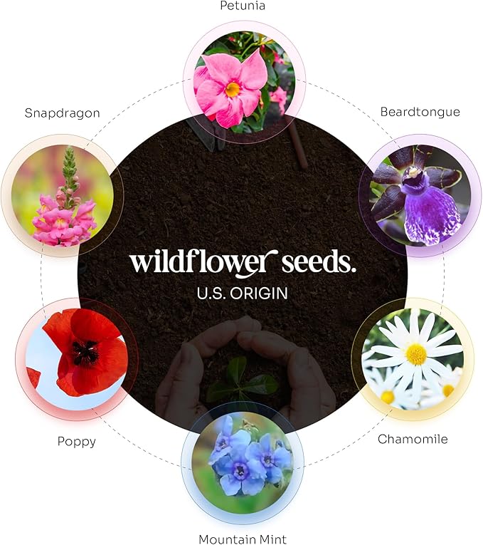 Seed Bloom Onesie Seed Paper – 15 Protea Shower Favors for Guests with Wildflower Seeds, Writable & Plantable, Shower Favor Gifts for Guest