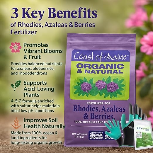 Coast of Maine RH6501 Rhody, Azalea & Berries Plant Food 12 LB – Organic Fertilizer for Acid-Loving Plants with My Garden Pool Soil Test Strips & Gardening Claw Gloves