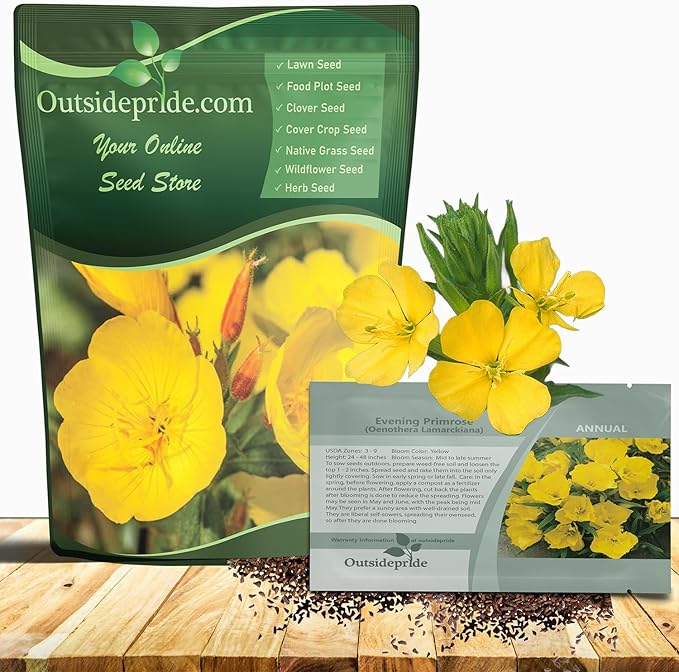 Outsidepride Evening Primrose Seeds - 5000 Pcs Annual, Hardy, Easy to Grow & Low Maintenance Flower Seeds for Planting Vibrant Soft Yellow Blooms, for Containers, Borders & Erosion Control
