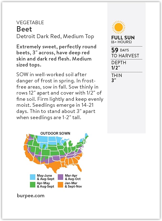 Burpee Detroit Dark Red Beet Seeds - Classic Dual-Purpose Root & Greens