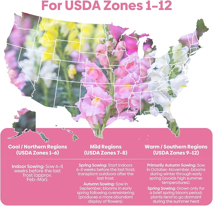 1500+ Tetra Mix Snapdragon Seeds for USDA 1-12 Planting, 18-24’’ Tall Snap Dragon Mix, Annual Flower Garden Seeds, Ideal for Garden, Containers