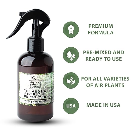 Cute Farms Tillandsia Air Plant Fertilizer | Gentle Weekly Use Formula Plant Food | Formulated Nutrients for Air Plants (8 oz. Spray Bottle + ONE Fine Mist Water Sprayer)
