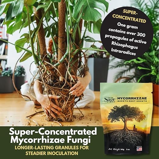 Mycorrhizae Inoculant Powder, 10 oz, 300+ Spores/g Mycorrhizal Fungi, Root Stimulator for Transplanting, Vegetables, Trees & Flowers, Made in USA