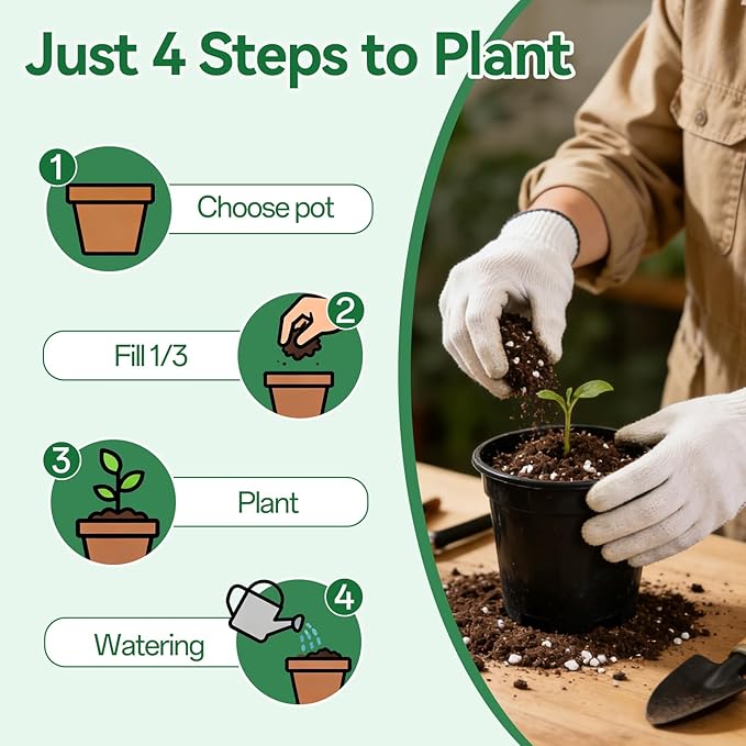 Zeedix Potting Soil Mix for Indoor Houseplant, Include Perlite, Compost, Peat Moss, Coco Coir and Vermiculite, Well Draining Potting Mix, Promote Healthy Root Development and Faster Plant Growth, 1qt