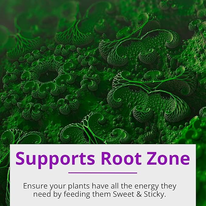 Humboldts Secret A & B Liquid Hydroponics Fertilizer - Nutrients for Outdoor, Indoor Plants (8 oz) w/Sweet & Sticky – Carbohydrate and Saccharide Energy Source – Energy for Plants (8 oz)