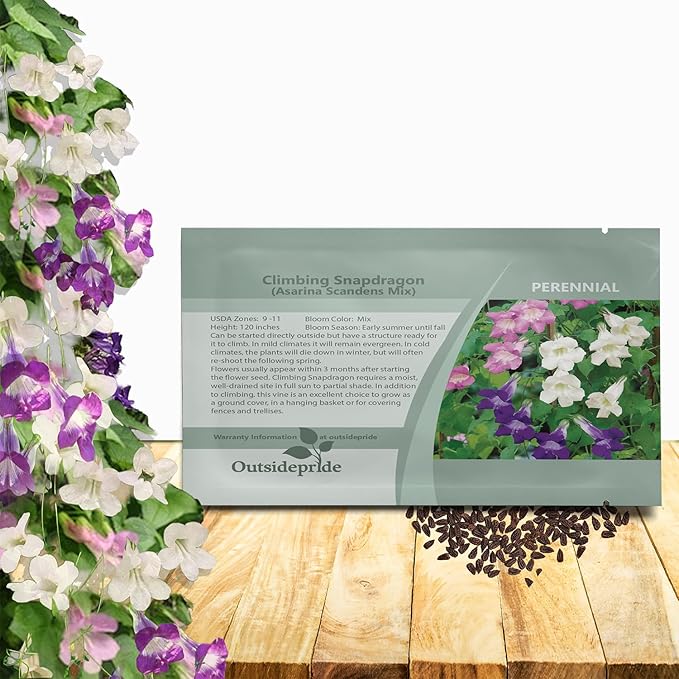 Outsidepride Mix Asarina Climbing Snapdragon Seeds - 100 Pcs Perennial Flower Seeds for Planting, Easy to Grow Climbing Vines w/Attractive Flowers for Containers, Trellises, & Ground Cover