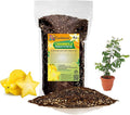 GARDENERA Premium Carambola Potting Soil Mix - Perfect Balance of Nutrients, Drainage, and Aeration for Thriving Starfruit Trees - 4 Quart