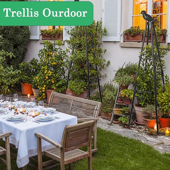 Trellis for Climbing Plants Outdoor, 2 Pack Plant Trellis Support for Climbing Vine, 63" Plant Support Tower Cages Plastic Coated Metal Pipe Supports for Outdoor Indoor, Potted Plants, Tomato cage