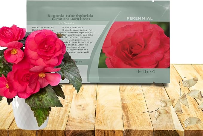 Outsidepride Dark Rose Limitless Begonia Seeds for Planting - 50 Pcs Perennial Flower Seeds with Large Blooms, Arching & Pendulous Growth Habit, for Containers, Hanging Baskets, or Landscape Plantings