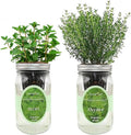 2-Pack Hydroponic Mason Jar Herb Garden Kit, Indoor Herb Garden Self-Watering Starter Kit, New Christmas Gift for Mom (Mint,Thyme)