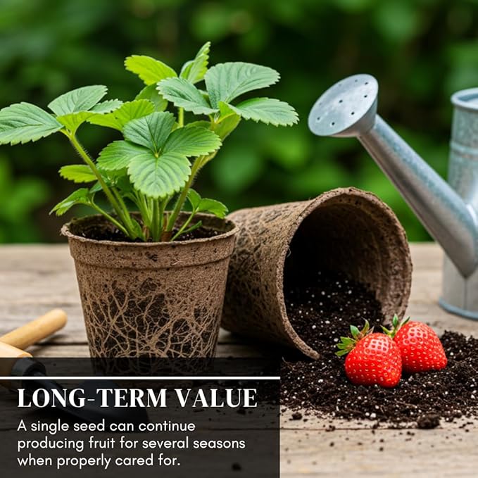 Berry Bliss Vegetable Garden Seeds – Heirloom Red Strawberry Variety – Vibrant, Flavorful, Easy-to-Grow Vegetables for Fresh Salads, Cooking & Home Garden Fun