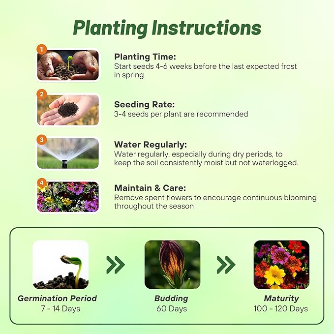 Outsidepride Painted Tongue Salpiglossis Seeds - 5000 Pcs. Annual, Versatile & Pollinator Friendly, Flower Seeds for Planting Vibrant Trumpet-Shaped Mixed Blooms for Garden Beds & Cut Flower Bouquets