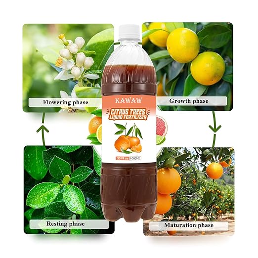 Organic Citrus Tree Probiotic Fertilizer 35oz (1000ML) – Microbial Plant Nutrient for Citrus, Apple, Lemon & Fruit Trees – Enhances Soil Health, Fruit Sweetness & Freshness