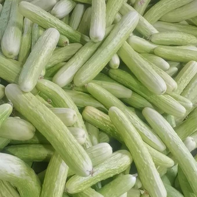 Mixrug White Jade Cucumber Seeds for Planting, 30pcs Sweet Wonder Cucumber Vegetable Seeds Plants, Non-GMO Heirloom Home Fresh Food Vegetables Plants Garden for Outdoors Indoors