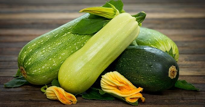 Seeds Zucchini Courgette Squash Summer Mix Heirloom Vegetable for Planting Non GMO