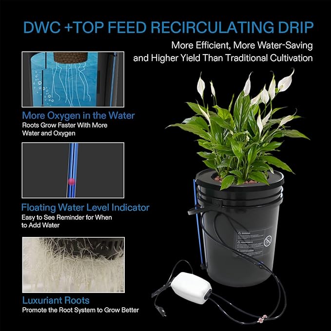 5 Gal Hydroponic Growing System, Indoor Deep Water Culture with Drip Irrigation & Air Pump, 8" Basket Kit for Vegetables, Herbs, Home Garden