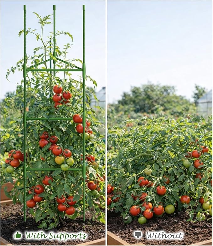 Growsun 51 inch Tomato Cage Heavy-Duty Plant Support Cucumber & Vine Vegetables – Adjustable Green Metal Garden Trellis for Climbing Plants, Indoor & Outdoor Use, 1 Pack