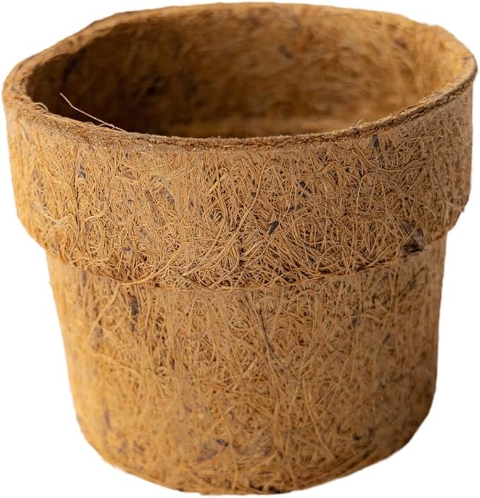 Coconut Fiber Planter Pots - 10 Pack - 4 in. Rim by 3.25 in. Tall - Round, Blunt - Garden Seed Starting - Direct Transplant - Coco Coir, Greenhouse