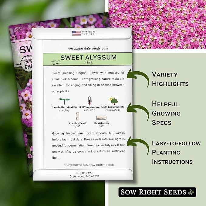 Sow Right Seeds - Sweet Pink Alyssum Seeds for Planting - Non-GMO Heirloom Annual or Short-Lived Perennial Blooms - Easy to Grow, Attracts Pollinators - Ideal for Borders, Containers, Ground Cover (4)