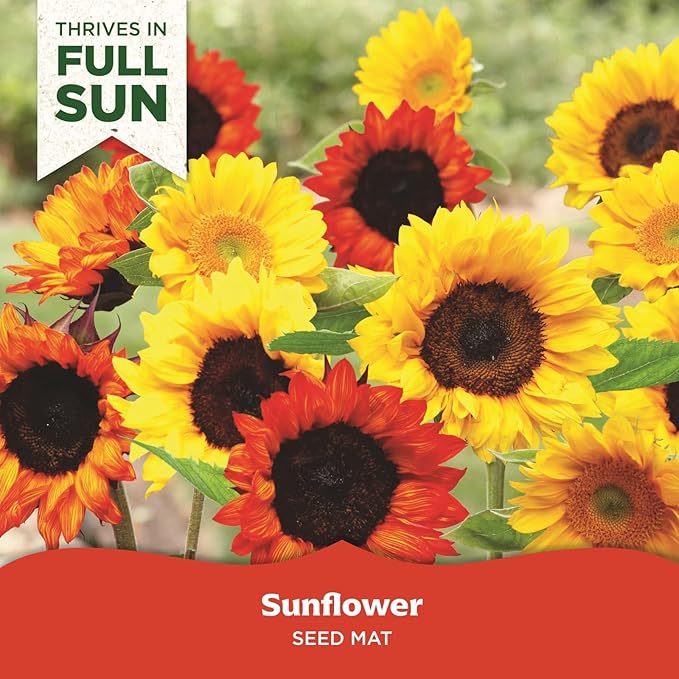 BloomingBulb Seed Mat - Easy to Plant and Grow Garden Seeds - Creates Fragrant, Vibrant Flower Garden (Sunflower Garden) (Pack of 2)