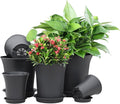 Planter Pot Sets, 6 Sizes Flower Pots with Drainage Holes and Saucers, Garden Plant Pots 3.1/3.7/4.3/4.9/5.7/7.2 Inches, for Home Garden Kitchen Decor (Dark Grey)