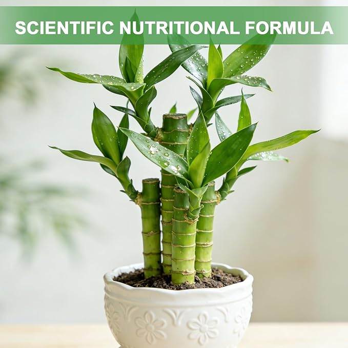 Pure Natural Potting Soil for Lucky Bamboo Plants 2qt- Superior Drainage & Breathability, Ideal Indoor Plant Soil