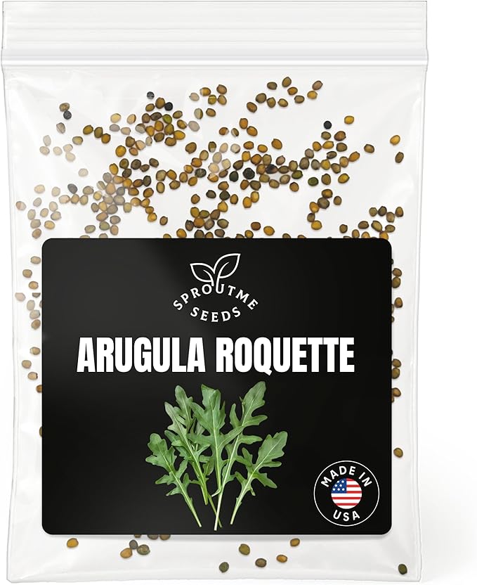 Fall & Winter Arugula (Roquette) Seeds for Indoor & Outdoor Planting – Approx. 500 Non-GMO Heirloom USA-Grown Fast-Growing Salad Greens, High Germination (Eruca vesicaria)