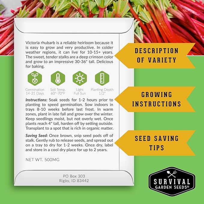 Victoria Rhubarb Seeds for Planting - Grow Cold-Tolerant Perennial Spring Fruit/Vegetables in Your Home Garden - Non-GMO Heirloom Variety - Survival Garden Seeds (3 Packs)