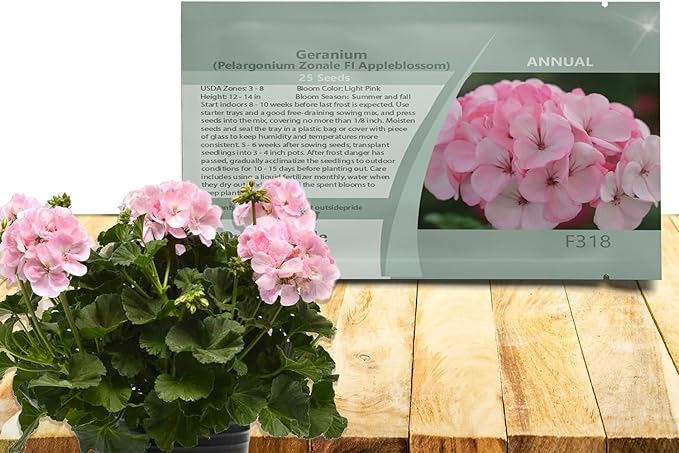 Outsidepride Appleblossom Geranium Seeds for Planting - 25 Pcs Annual, Heat & Drought Tolerant Flower Seeds with Green Foliage & Light Pink Blooms for Pots, Borders & Lush Summer Garden Displays