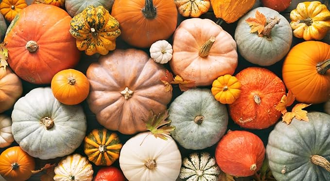 Winter Luxury Pumpkin Seeds - Heirloom - Heirloom Silky Texture for a Perfect Pie. This Marvelous, Small Pumpkin has a Unique, Netted Skin. Typical Weight is 6–9 lbs