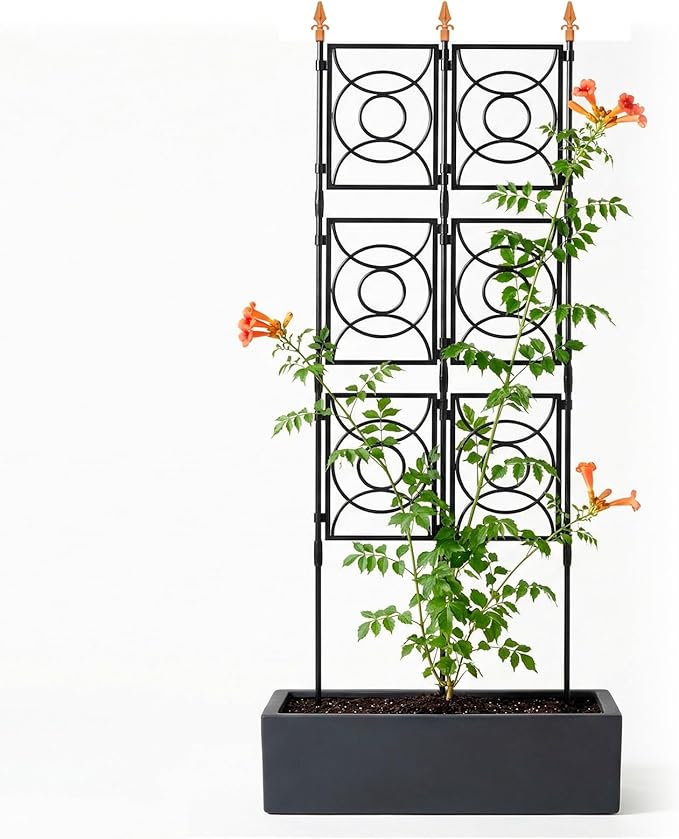 Trellis for Climbing Plants Outdoor, 24 Rifny Tall Garden Trellis Flower Rose Cucumber Trellis for Vines Pea Support, Wall Large Plant Trellis Fence with Plastic Coated Metal Poles, 2 x 6.2 FT