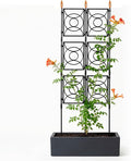 Trellis for Climbing Plants Outdoor, 24 Rifny Tall Garden Trellis Flower Rose Cucumber Trellis for Vines Pea Support, Wall Large Plant Trellis Fence with Plastic Coated Metal Poles, 2 x 6.2 FT